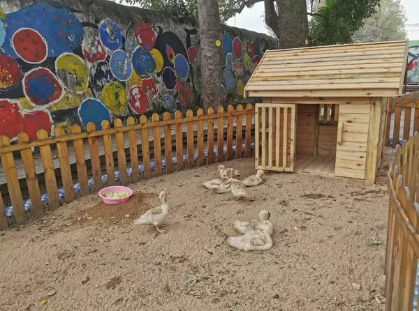 優化教育裝備，共筑樸美樂園| 龍灣八幼迎接溫州市教育裝備達標園創建評估驗收