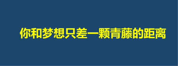 终身学习无限生长，首届环球青藤青年节“耀”你一起来