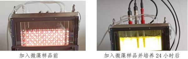 FMT150藻類培養與在線監測系統落戶南昌大學