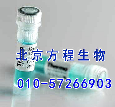 方程生物试剂图片 (4).jpg 人内凝集蛋白1(ITLN1)检测/(ELISA)kit试剂盒/免费检测