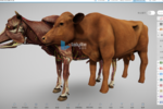 3D数字动物解剖实训系统，谱写动物解剖教学新篇章