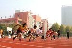 亳州市高新區學子運動賽場上展青春風采