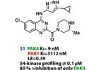 高活性高選擇性 PAK4 抑制劑的發現 | MedChemExpress