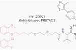 靶向 EGFR 的 PROTAC 盤點 - MedChemExperss