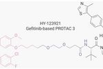 靶向 EGFR 的 PROTAC 盘点 - MedChemExperss