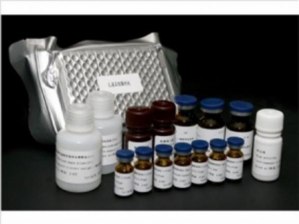 人神经趋化蛋白(fractalkine/CX3CL1)ELISA试剂盒