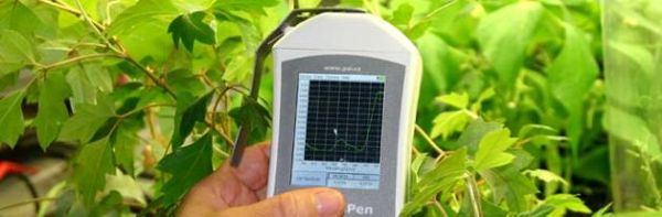 PolyPen RP-400手持式植物光谱测量仪