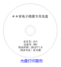 檔案級光盤