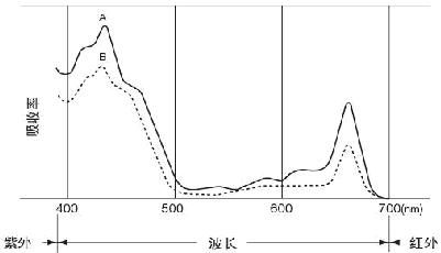 叶绿素测定仪报价/便携叶绿素仪价格